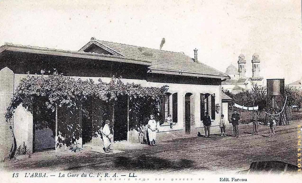 Arba 600.jpg